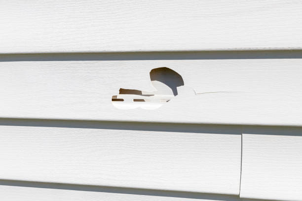 Best Hoarding Cleanup  in Kings Park, NY